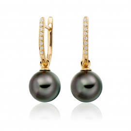 Tehitian Pearl Earring Made In 14K Yellow Gold Tehitian Pearl Earring Made In 14K Yellow Gold