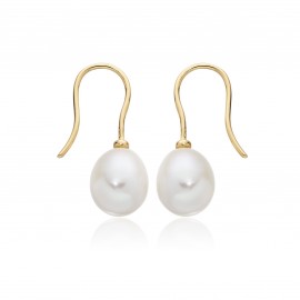 Freshwater Pearl Earring Made In 14k Yellow Gold Freshwater Pearl Earring Made In 14k Yellow Gold