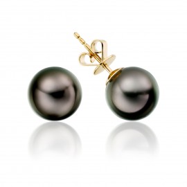 Freshwater Pearl Earring Made In 14K Yellow Gold  Freshwater Pearl Earring Made In 14K Yellow Gold