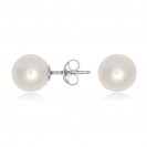  Pearl Earring Set in 14ct White Gold (7mm)